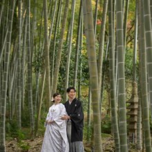 竹林の中で白無垢を纏った新郎新婦が鎌倉で婚礼前撮りを行う和装ウェディングフォト