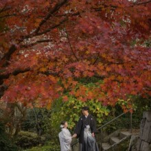 紅葉の季節に鎌倉のお寺で白無垢を着た新郎新婦が和装でフォトウェディングの前撮りを行うシーン