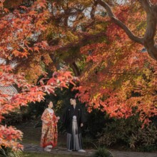 鎌倉のお寺で色打掛を着た新郎新婦が紅葉の中で和装婚礼前撮りを行うウェディングフォト