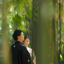 鎌倉・浄智寺 2020.03.26 浄智寺の竹林で和装前撮り。自然光が美しく差し込む中のウェディングフォト