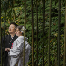 鎌倉・浄智寺 2021.12.15 歴史ある浄智寺での和装前撮り。緑の背景と白無垢姿が絶妙な印象に