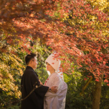 鎌倉・浄智寺 2021.12.15 和装が映える紅葉の浄智寺での前撮り。季節感あふれるウェディングフォトに