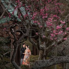 鎌倉・海蔵寺 2024.02.02 梅が咲く鎌倉・海蔵寺で色打掛の新郎新婦が和装前撮り。春のウェディングフォトに最適なロケ地。