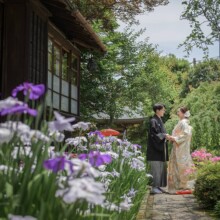 鎌倉・海蔵寺 2022.06.05 鎌倉・海蔵寺のあやめと色打掛の和装前撮り。新郎新婦の初夏ウェディングフォトに最適な一枚。