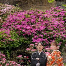 鎌倉・海蔵寺 2023.04.23 鎌倉の鮮やかな花々と共に色打掛を着た新郎新婦の和装前撮り、素敵なウェディングフォト。