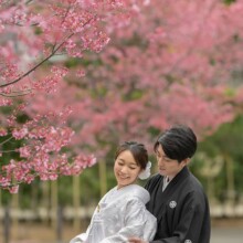 桜の下で新郎新婦が微笑む、春の鎌倉フォトウェディング
