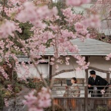 鎌倉・建長寺 2023.03.28 鎌倉の歴史ある寺院で桜に囲まれた和装の新郎新婦が行う美しいウェディングフォト