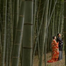 鎌倉・建長寺 2022.12.05 鎌倉の竹林で色打掛を着た新婦と新郎を撮影した前撮りウェディングフォト