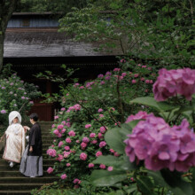 鎌倉のお寺の階段で白無垢を着た新郎新婦が綿帽子をかぶり、紫陽花を背景に和装の婚礼前撮りを行うウェディングフォト