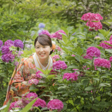 鎌倉のお寺で色打掛を着た新婦が和装で婚礼前撮り、紫陽花の中でのウェディングフォト