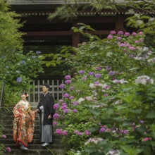 鎌倉のお寺で色打掛を纏った新郎新婦が紫陽花の前で撮影したウェディングフォト