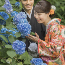 鎌倉のお寺で色打掛を着た新郎新婦が和装でウェディング前撮り、紫陽花の花々と共に