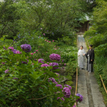 鎌倉のお寺で白無垢を着た新郎新婦が紫陽花を背景に和装婚礼の前撮りを行うウェディングフォト