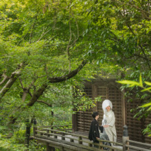 鎌倉のお寺で白無垢と綿帽子を着た新郎新婦が和装の婚礼前撮りを行うウェディングフォト