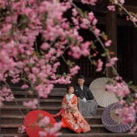 鎌倉・妙本寺 2023.03.24 カイドウが満開の妙本寺で和装の前撮り撮影。人気のウェディングフォトスポット。