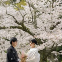 鎌倉・妙本寺 2023.03.24 桜と白無垢の和装が美しい妙本寺の前撮り写真。春限定のウェディングフォトにおすすめ。