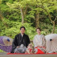 鎌倉・妙本寺 2023.04.18 色打掛の和装前撮りを妙本寺で愛犬と正座ポーズ。自然と歴史が調和する人気撮影スポット。