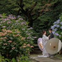 鎌倉・妙本寺 2023.06.21 紫陽花に囲まれた妙本寺で番傘を手に和装の新郎新婦が前撮り。白無垢が際立つ人気の撮影スポット。