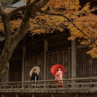 鎌倉・妙本寺 2022.12.21 妙本寺の紅葉と色打掛姿が映える鎌倉和装前撮り。番傘を持つ新郎新婦を撮影する秋のフォトウェディング。