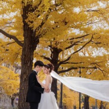 日本大通りの銀杏を背景に向き合う新郎新婦