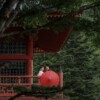 日光