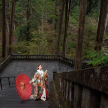 栃木・日光 2024.04.23 日光山輪王寺の階段で番傘が映える新婦ソロショット