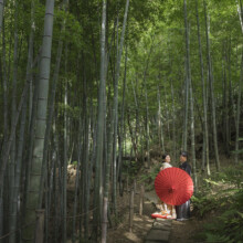 鎌倉・檑亭 2022.11.10 竹林の囲まれ番傘がポイントの和装姿の新郎新婦の前撮り