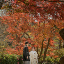 鎌倉・檑亭 2022.11.27 紅葉が美しい鎌倉・檑亭で秋のウェディングフォト