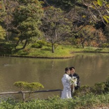 油絵 風景画 神奈川三渓園の枝垂桜【4月】P10 三渓園