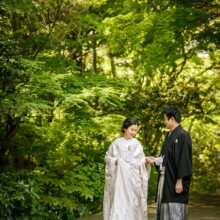 鎌倉・妙本寺で春に撮影した和装前撮り 鎌倉・妙本寺で白無垢を着用した新婦と紋付袴を着用した新郎が手を取って歩く和装前撮り