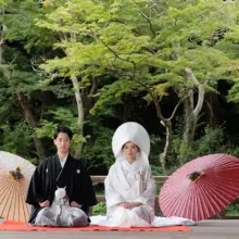 鎌倉・妙本寺で夏に撮影した和装前撮り 鎌倉・妙本寺で白無垢を着用し綿帽子をかぶった新婦と紋付袴を着用した新郎が正座をして写る和装前撮り