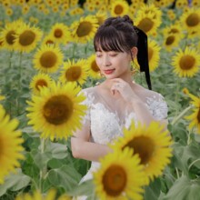 東京・昭和記念公園 2023.08.06 昭和記念公園の美しい花々と緑を背景にした洋装前撮り