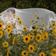 東京・昭和記念公園 2023.08.06 緑と季節の花に囲まれた昭和記念公園で叶う、ロマンチックな洋装フォトウェディング