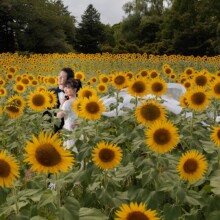 東京・昭和記念公園 2023.08.06 洋装姿をナチュラルに引き立てる、昭和記念公園の緑と花のロケーション撮影