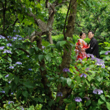 鎌倉・瑞泉寺 2024.05.26 緑深い瑞泉寺で色打掛の新郎新婦が和装前撮り、鎌倉の静寂に包まれた婚礼フォトウェディング