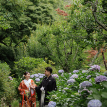 鎌倉・瑞泉寺 2024.06.13 鎌倉瑞泉寺の紫陽花と緑に囲まれた山奥で、色打掛の新郎新婦が和装前撮りを楽しむ婚礼フォト