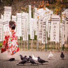 鎌倉・鶴岡八幡宮
