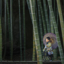 鎌倉・竹林のお寺 2021.1.10 撮影2021.1.10