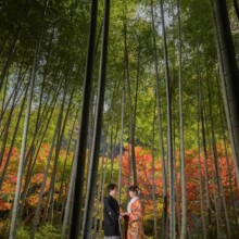 建長寺の竹林で見つめ合う新郎新婦。色づき始めた紅葉と竹林が調和する秋の鎌倉和装前撮り。