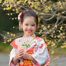 梅の花を背景に扇子を持って笑顔を見せる晴れ着姿の女の子。鎌倉・妙本寺で撮影した七五三ポートレート。