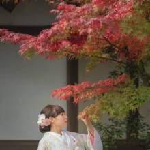 2020.11.22 伊勢