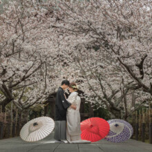 鎌倉・建長寺 2021.03.25 鎌倉の桜並木で番傘を添えて向かい合う和装の新郎新婦、春の前撮りフォトウェディング