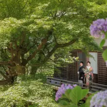 鎌倉・緑と紫陽花が綺麗なお寺 2023.06.17
