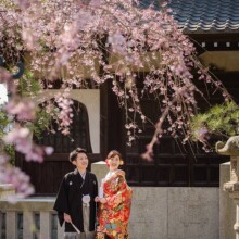 鎌倉の春を彩る枝垂れ桜の下、唯一無二のロケーションのもと和装で残す特別な前撮り。