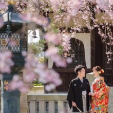 鎌倉の歴史ある寺院で枝垂れ桜と和装が織りなす華やかな前撮り。
