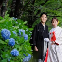鎌倉・建長寺 2024.06.21 建長寺の紫陽花が咲く境内で、新緑を背景に並んで微笑む白無垢姿の新婦と紋付袴姿の新郎。初夏の鎌倉で撮影した白無垢前撮り・鎌倉和装前撮りのロケーションフォトです。