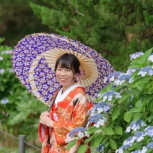 鎌倉・建長寺 2024.06.15 建長寺の紫陽花を背景に、和傘を手に微笑む色打掛姿の新婦。初夏の鎌倉で撮影した色打掛前撮り・鎌倉和装前撮りのロケーションフォトです。