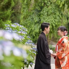 鎌倉・建長寺 2024.06.15 建長寺の紫陽花を前景に、手を取り合って見つめ合う色打掛姿の新婦と紋付袴姿の新郎。初夏の鎌倉で撮影した色打掛前撮り・鎌倉和装前撮りのロケーションフォトです。