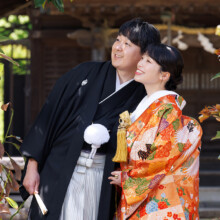 鎌倉・鎌倉本店の隣の神社で春に撮影した和装前撮り 鎌倉・鎌倉本店の隣の神社で色打掛を着用した新婦と紋付袴を着用した新郎が遠くを見つめる和装前撮り