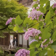 鎌倉・緑と紫陽花が綺麗なお寺 2023.06.18